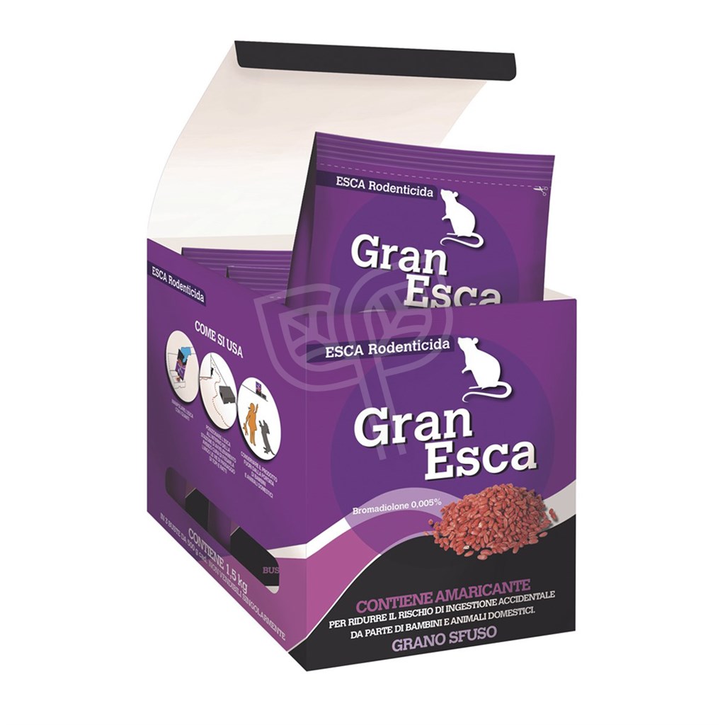 GRAN ESCA - BOX 3 BUSTE DA GR 500 - VEBI 01949